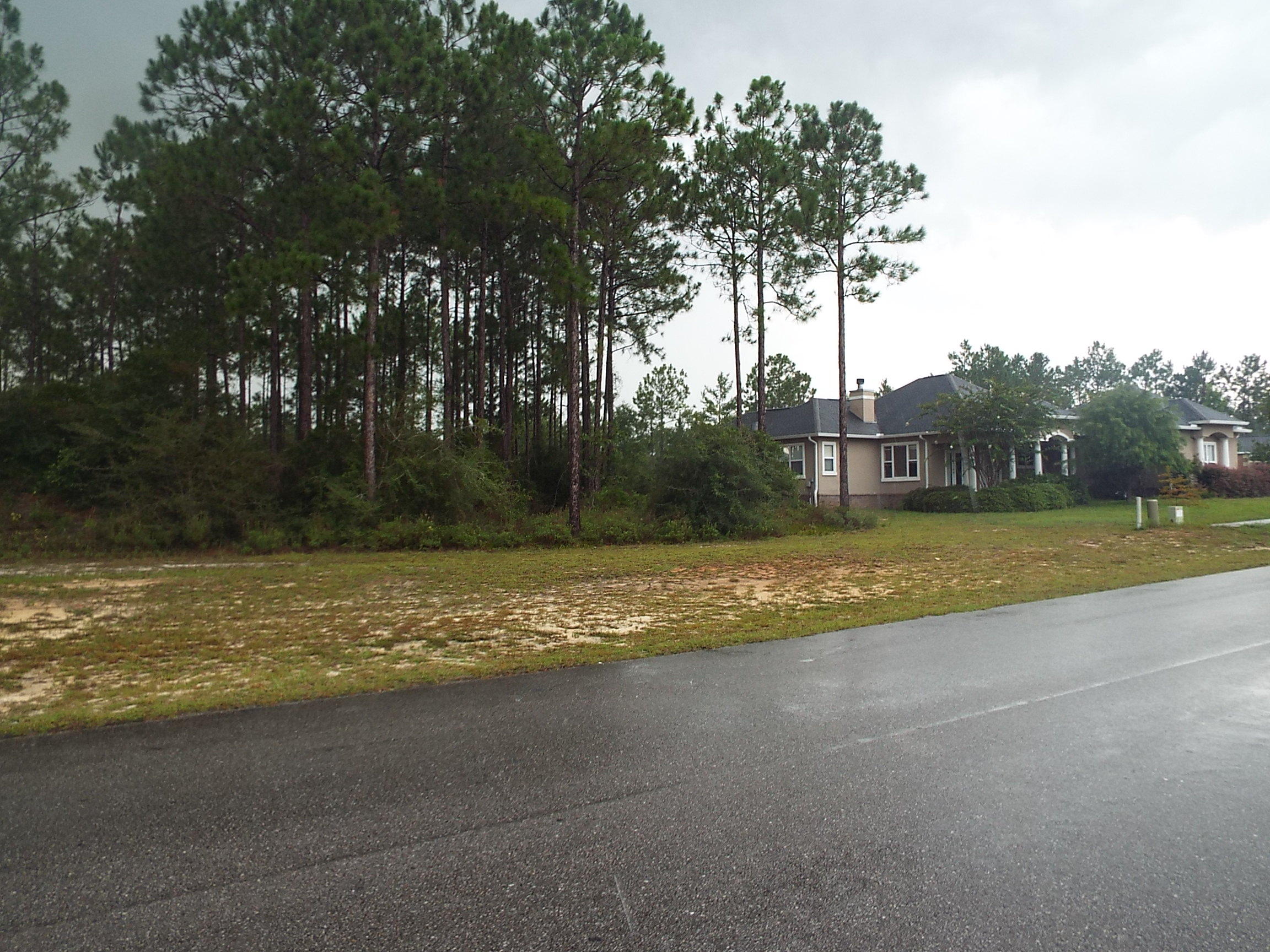 WINDSWEPT ESTATES - Land