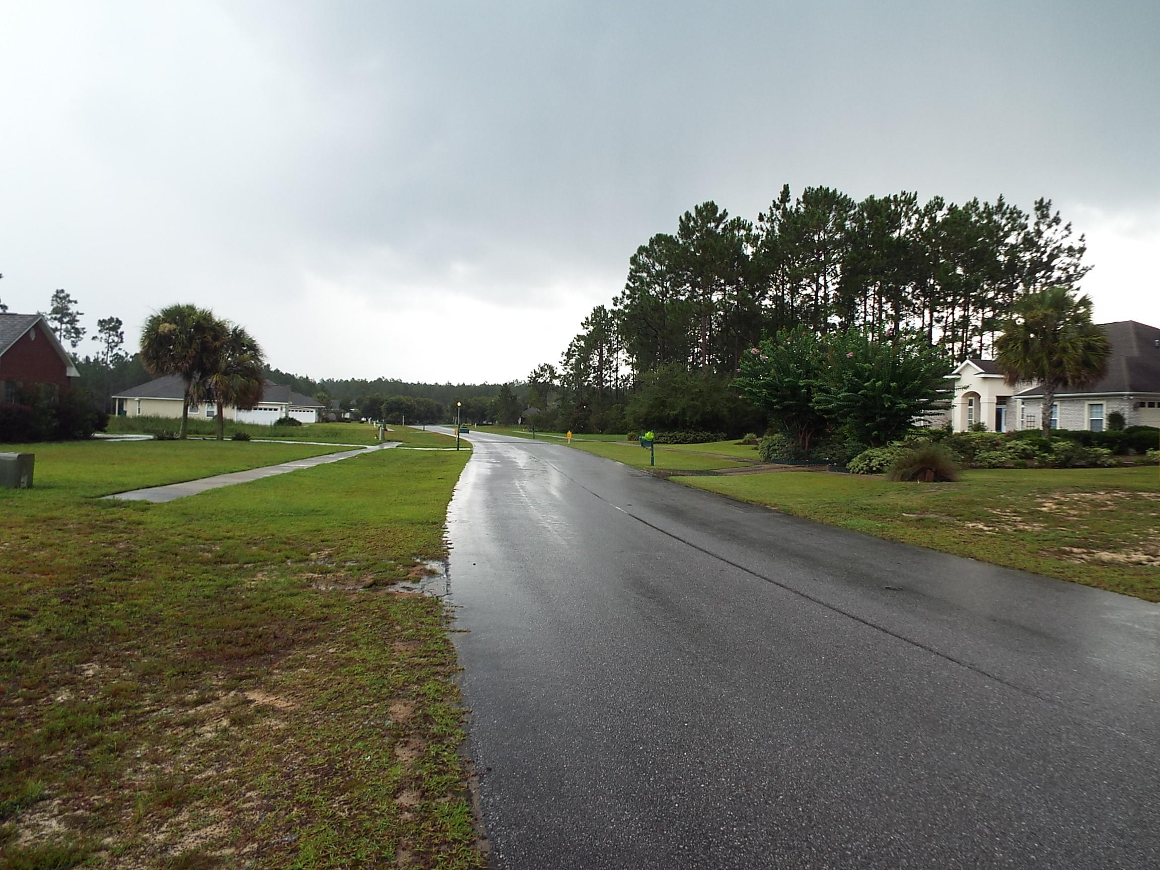 WINDSWEPT ESTATES - Land