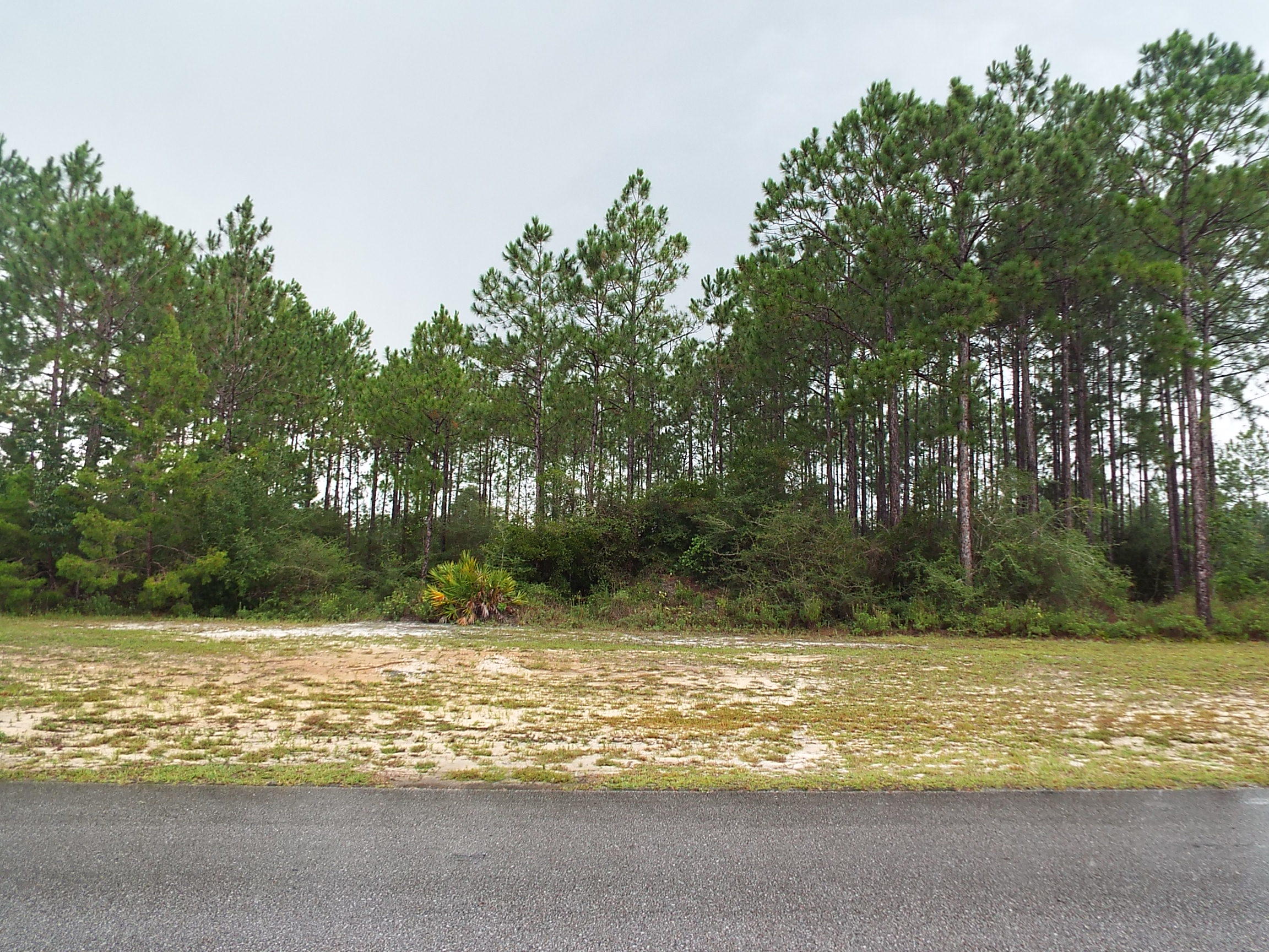 WINDSWEPT ESTATES - Land