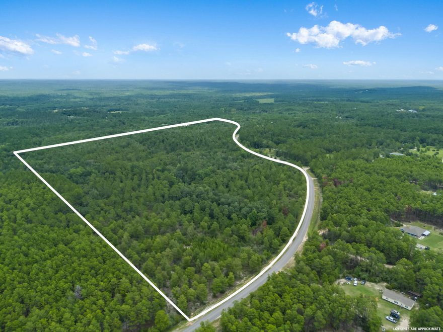 Discover the perfect escape on this sprawling 73 acre parcel in picturesque Ponce De Leon. This pristine property offers so many possibilities, whether you are seeking a serene hunting retreat, a family camping ground or a private location to build your dream home! Buyer to verify any information deemed important. Seller has original survey.