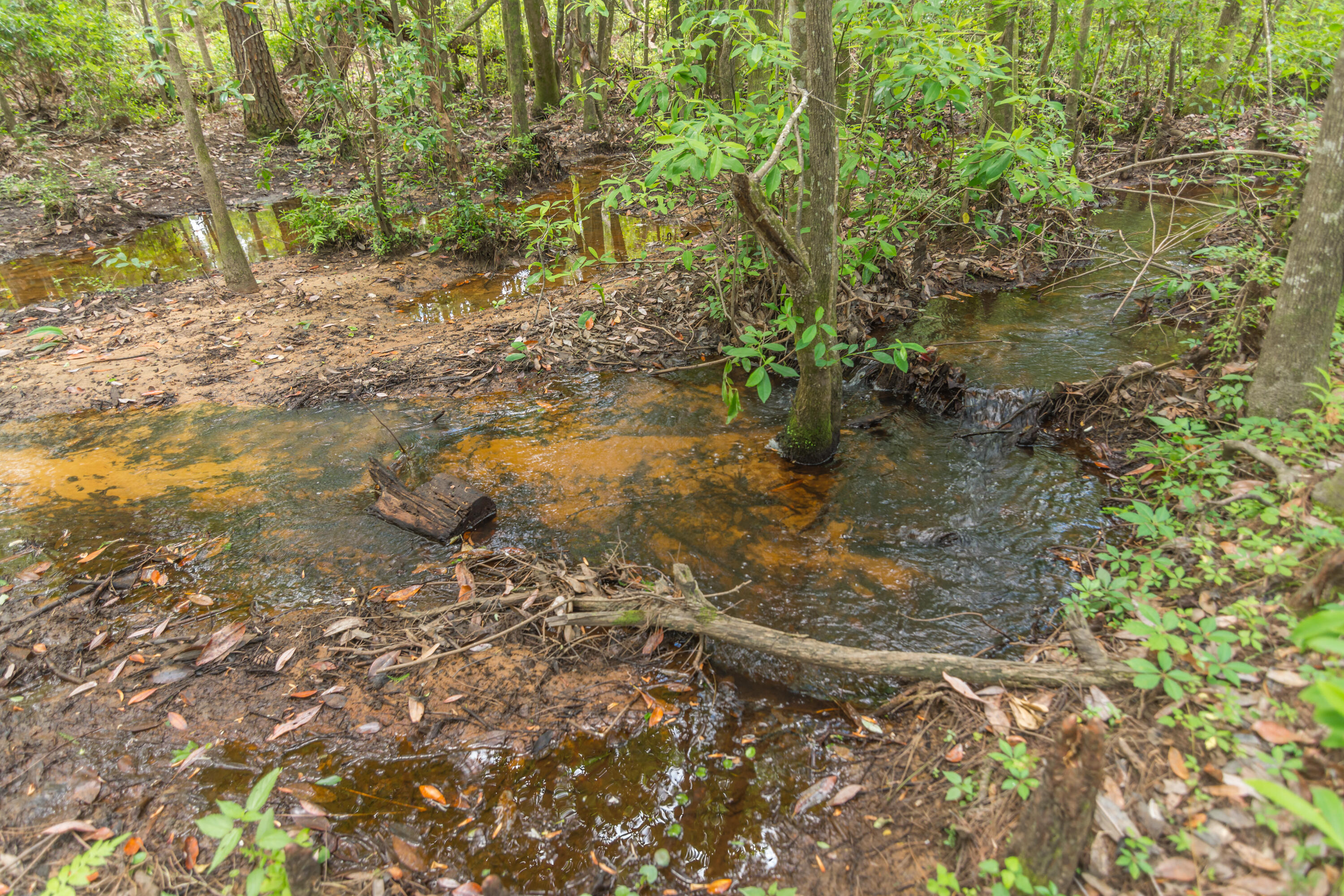 MORRIS ADDN TO CRESTVIEW - Residential