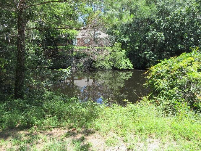 DAUGHETTES AMENDED - Residential