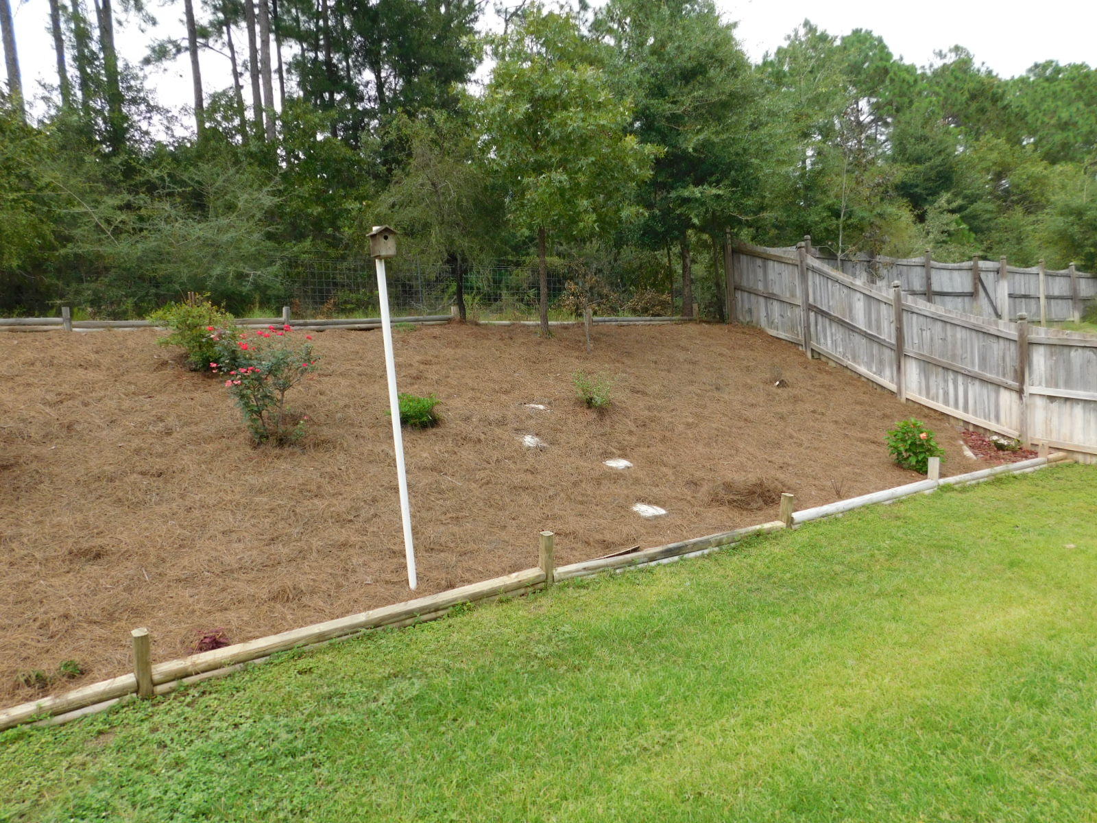 ROLLING RIDGE S/D - Residential