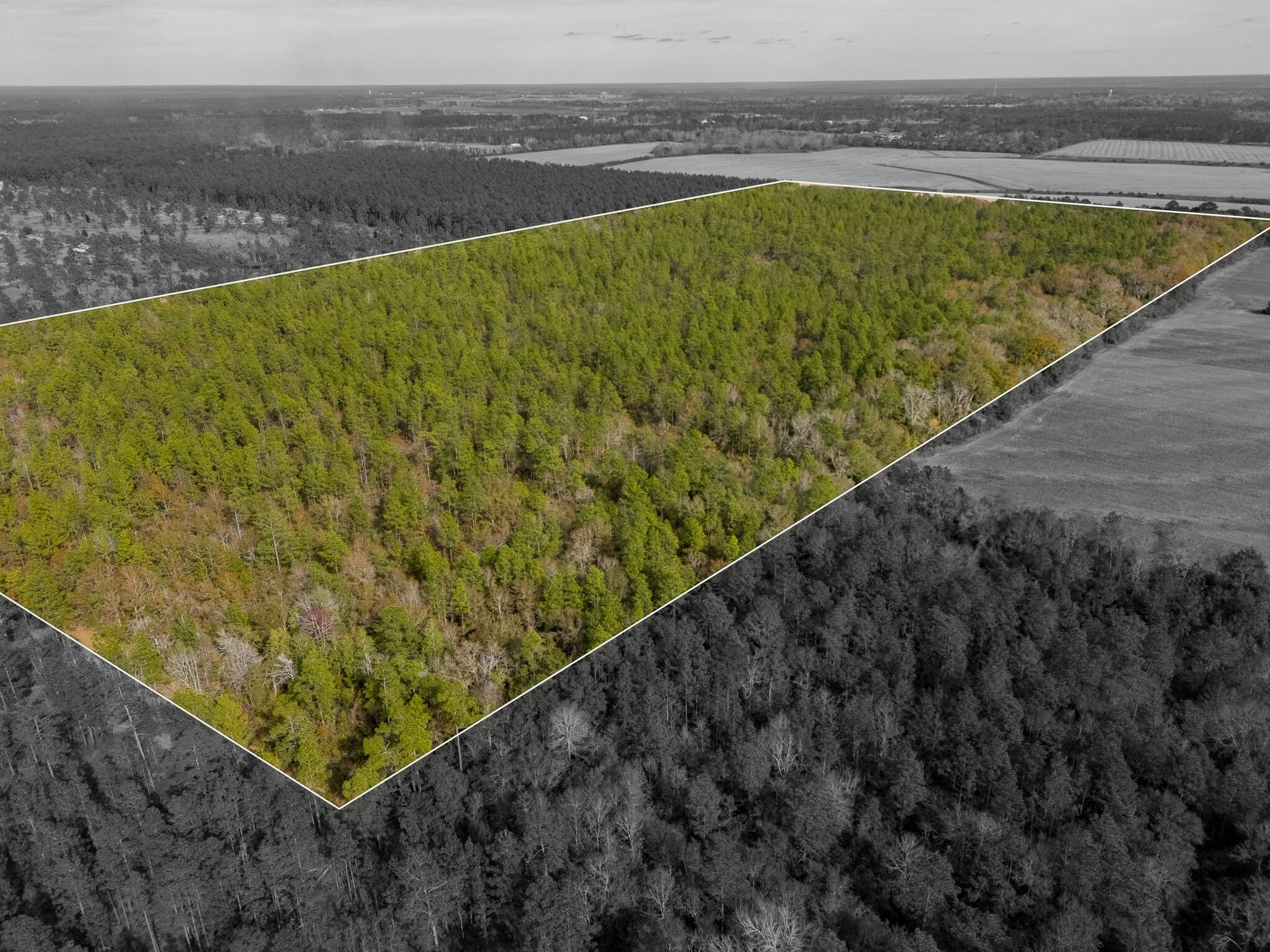 Seize the chance to own this 80-acre parcel in Baker, a truly rare find offering a wealth of possibilities! With a mix of wooded terrain and open spaces, this property provides a blank canvas to create your dream home, a peaceful farm, or a private recreational retreat. Whether you're seeking seclusion, nature's beauty, or a space for outdoor activities, this property offers it all. While this land is mostly wooded, it's not without its opportunities. With a natural water source in the center and a diverse landscape perfect for wildlife, this parcel is ideal for those who want to build a home, farm, or create the ultimate outdoor retreat surrounded by trees and natural beauty. The secluded location provides privacy while still being a short drive to town for your everyday needs.