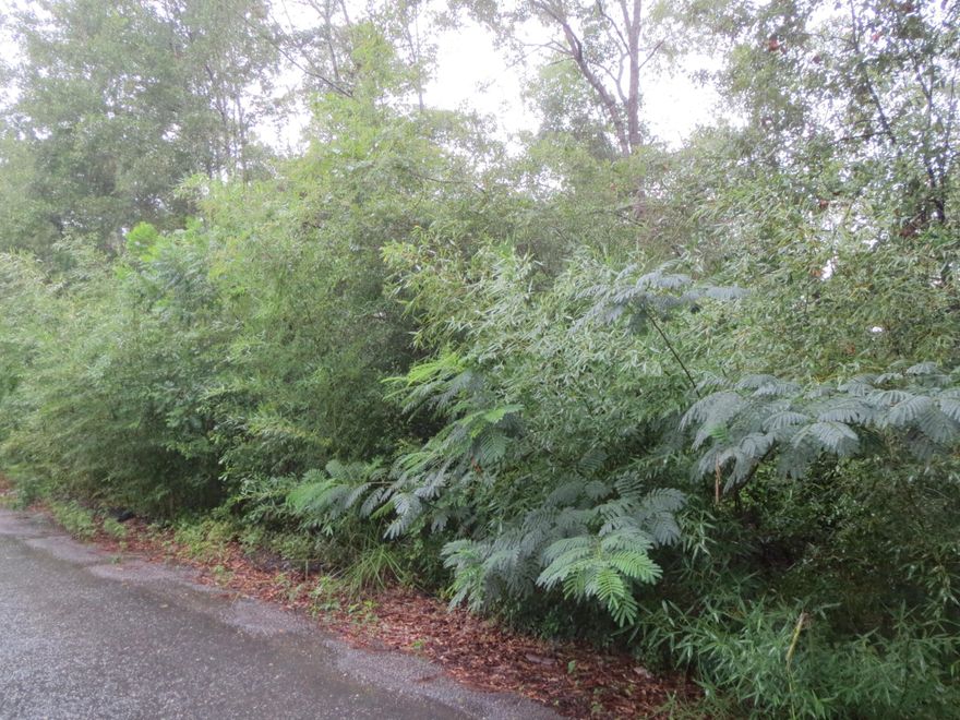 Here's your chance to build your dream home and enjoy life in the country yet be close to the beaches. This one acre wooded lot is bordered by State Hwy. 81 and tree-lined Windmill Rd. This lovely property has approximately 270 feet of frontage on State Hwy. 81 with easy access to State Hwy. 20, I-10, Hwy. 77, and is just a 30 minute drive to the beaches!