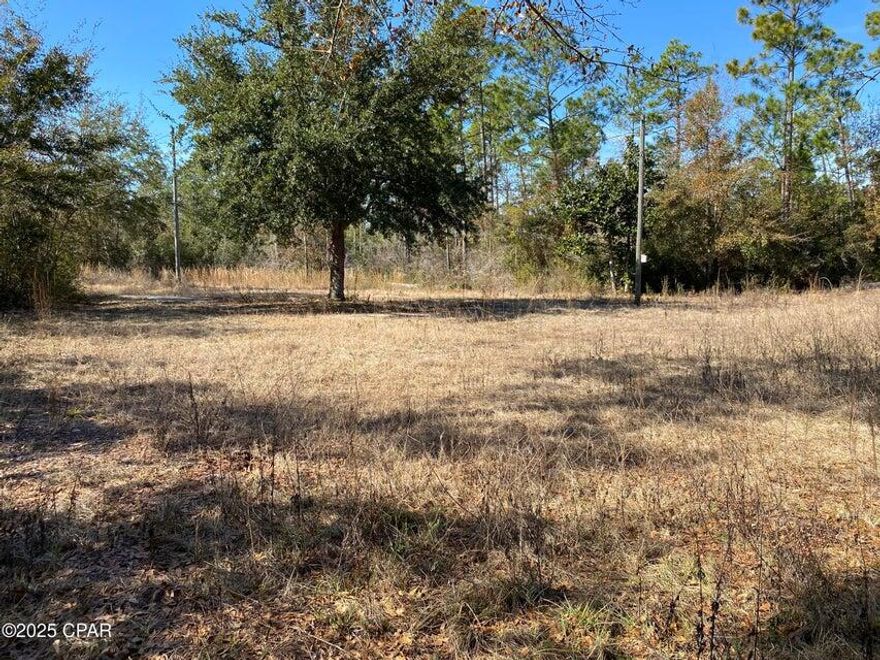 Good location, close to access both Deerpoint Lake and the bay.  Property has a well and septic, condition is unknown.  *Entered for comp purposes only