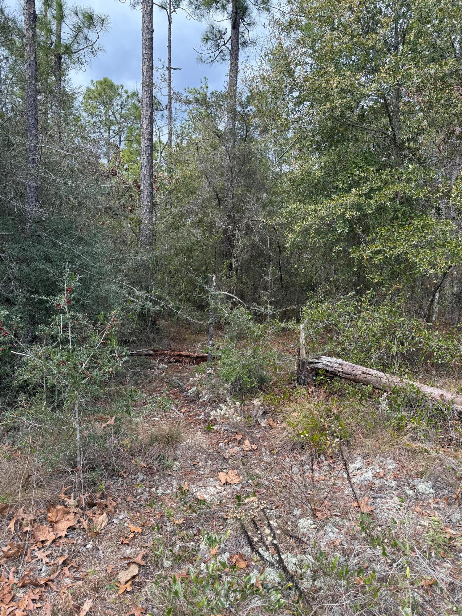 Located just West of DeFuniak Springs off of sought after Woodyard Road due to its great location for commuting to Eglin AFB and South Walton County, this 1.13 acre lot is located in the County zoning and allows for mobile homes or your choice to build your new home! Wooded lot giving you the opportunity to ensure privacy at the front of the lot. Power available.