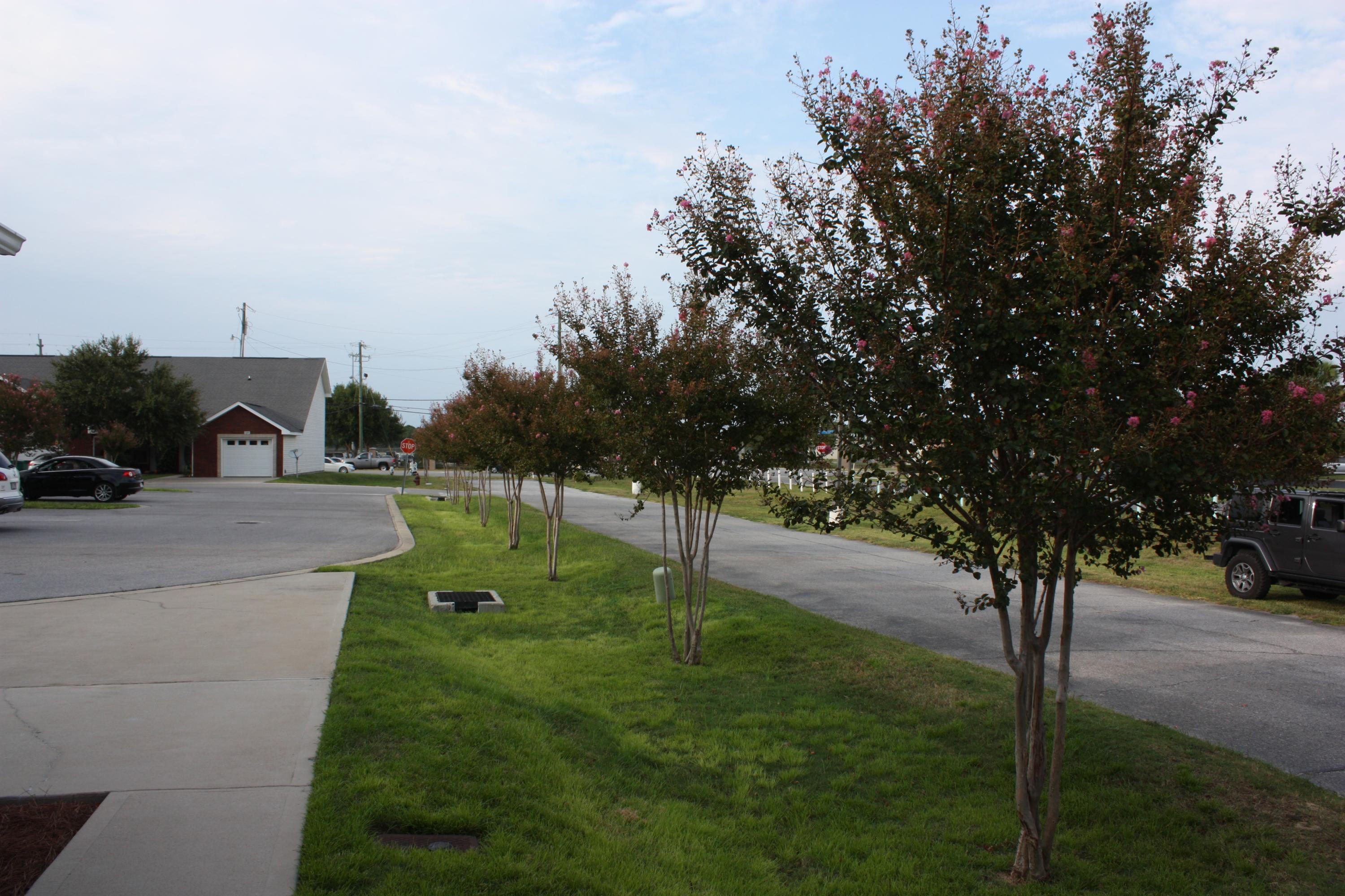 QUAIL HOLLOW - Residential