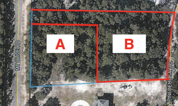 Bring your build plans and Just Bask in the benefit of having NO HOA restrictions! This 1.29+/- Acre property is County Zoned as agricultural so bring your horses, cows chickens and barns! Paved road frontage and easy access to Hwy 90, Hwy 393, Hwy 85 , Hwy 2 and I-10. This property gives so many options to spend your free time. Close to Okaloosa Industrial Park, Shoal River ranch, or grab your swim suits and take a short drive to the beach.
