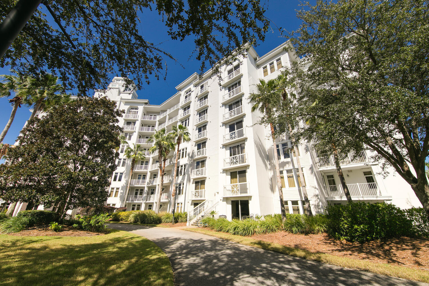 Elation - Residential