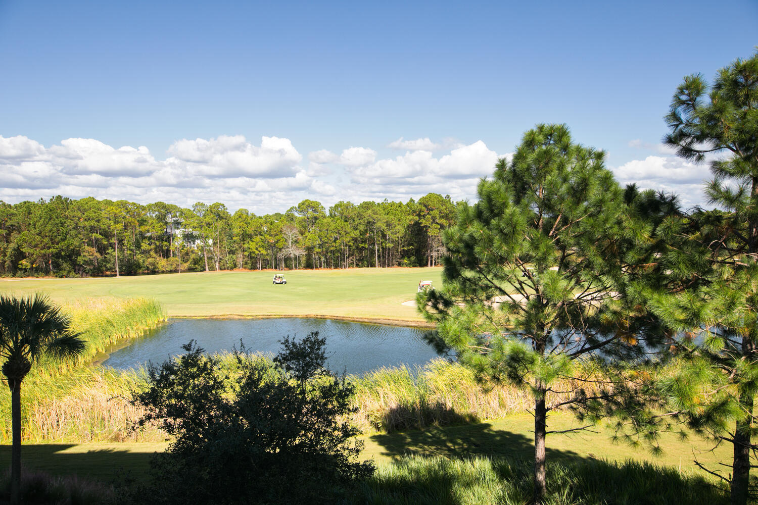 Elation - Residential