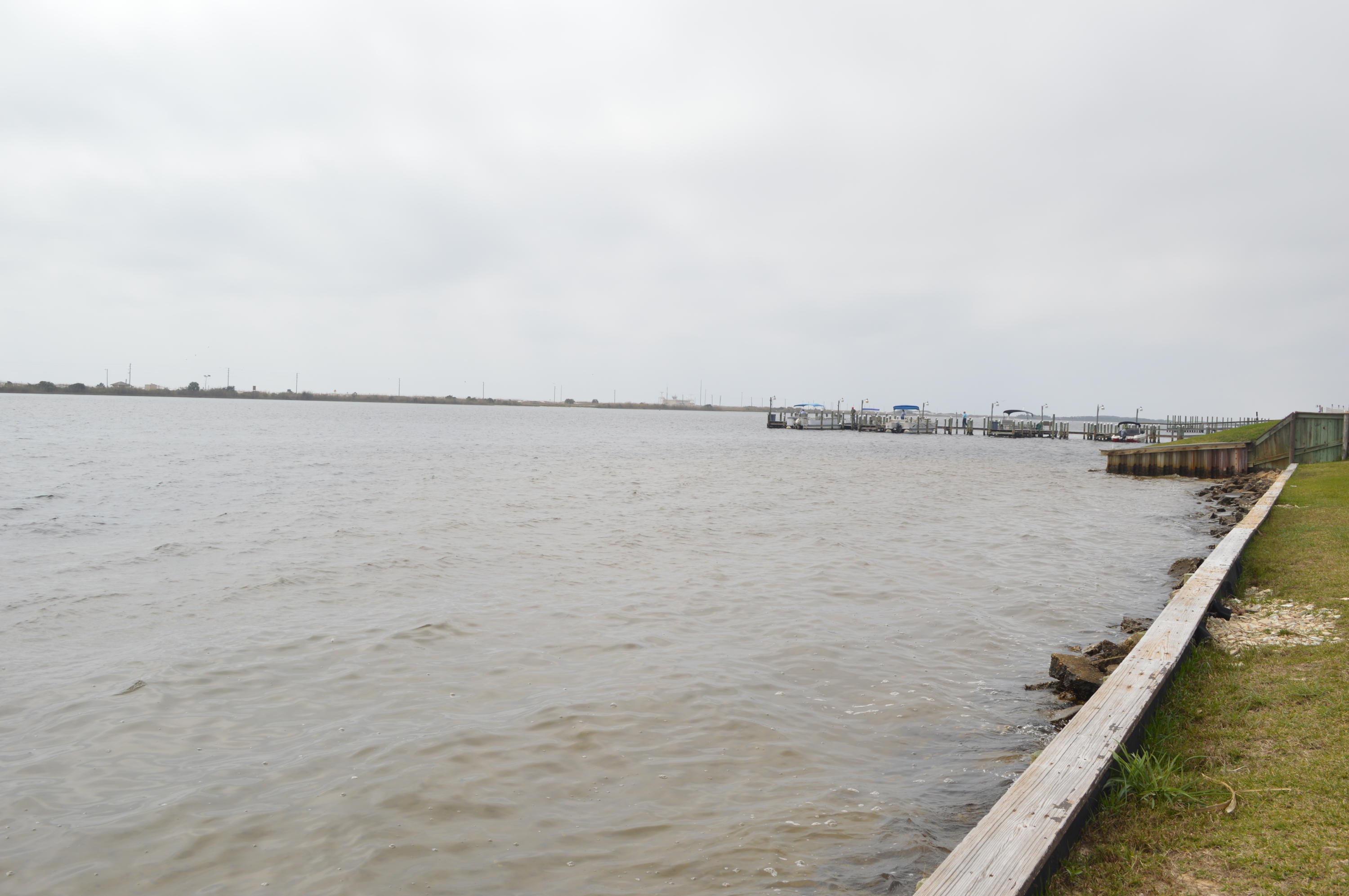 SEA PALM CONDO - Residential