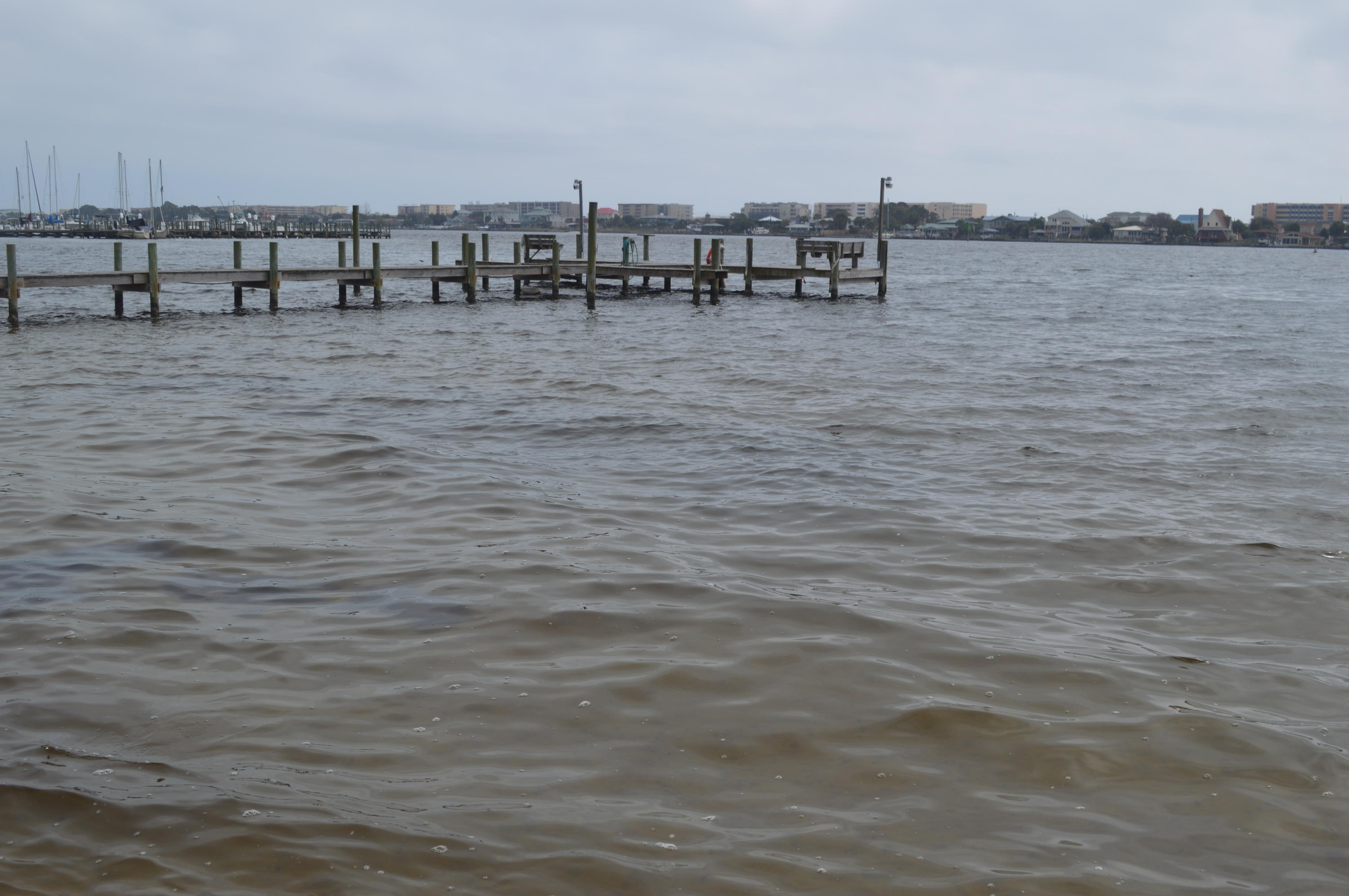 SEA PALM CONDO - Residential