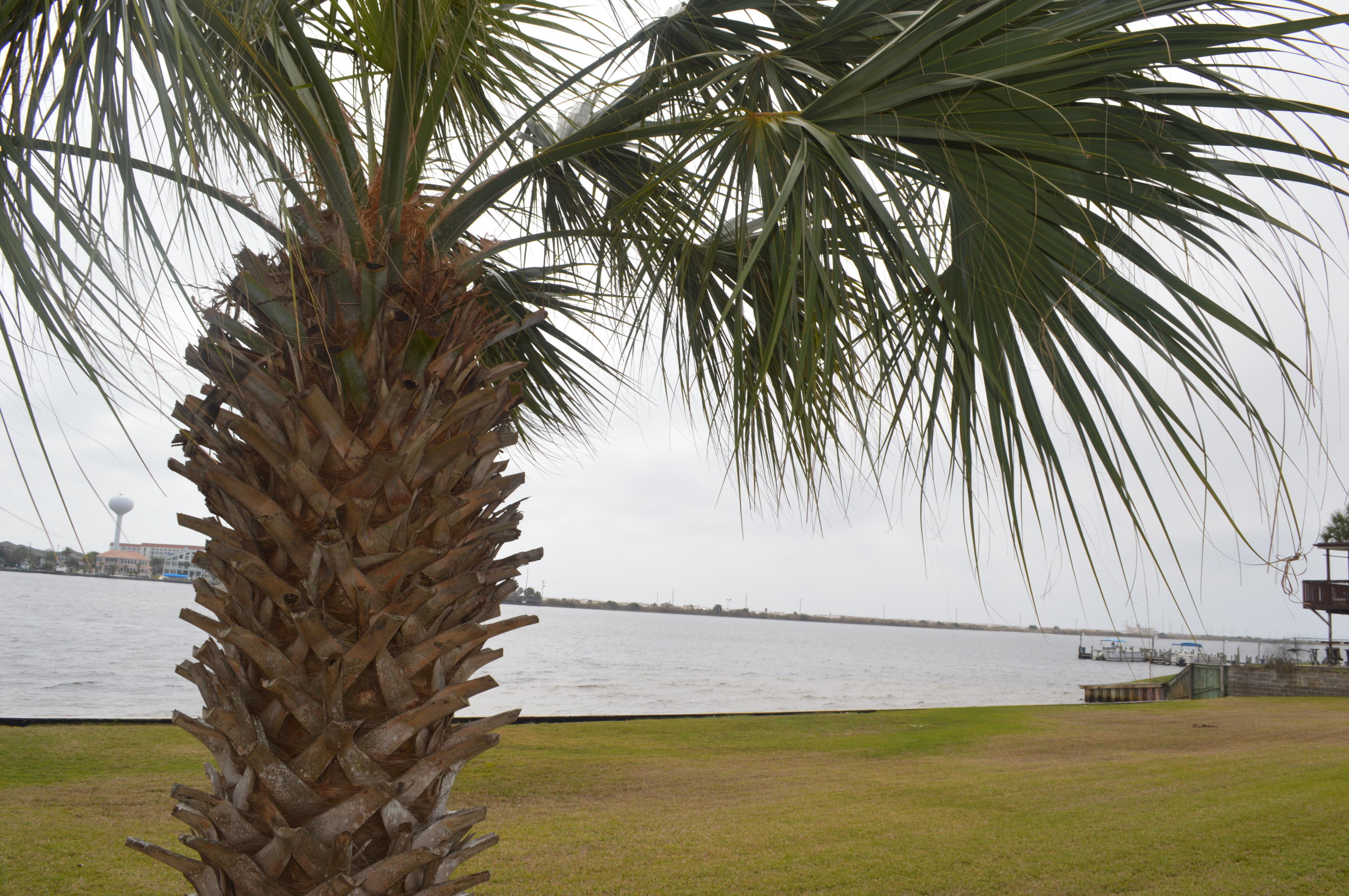 SEA PALM CONDO - Residential