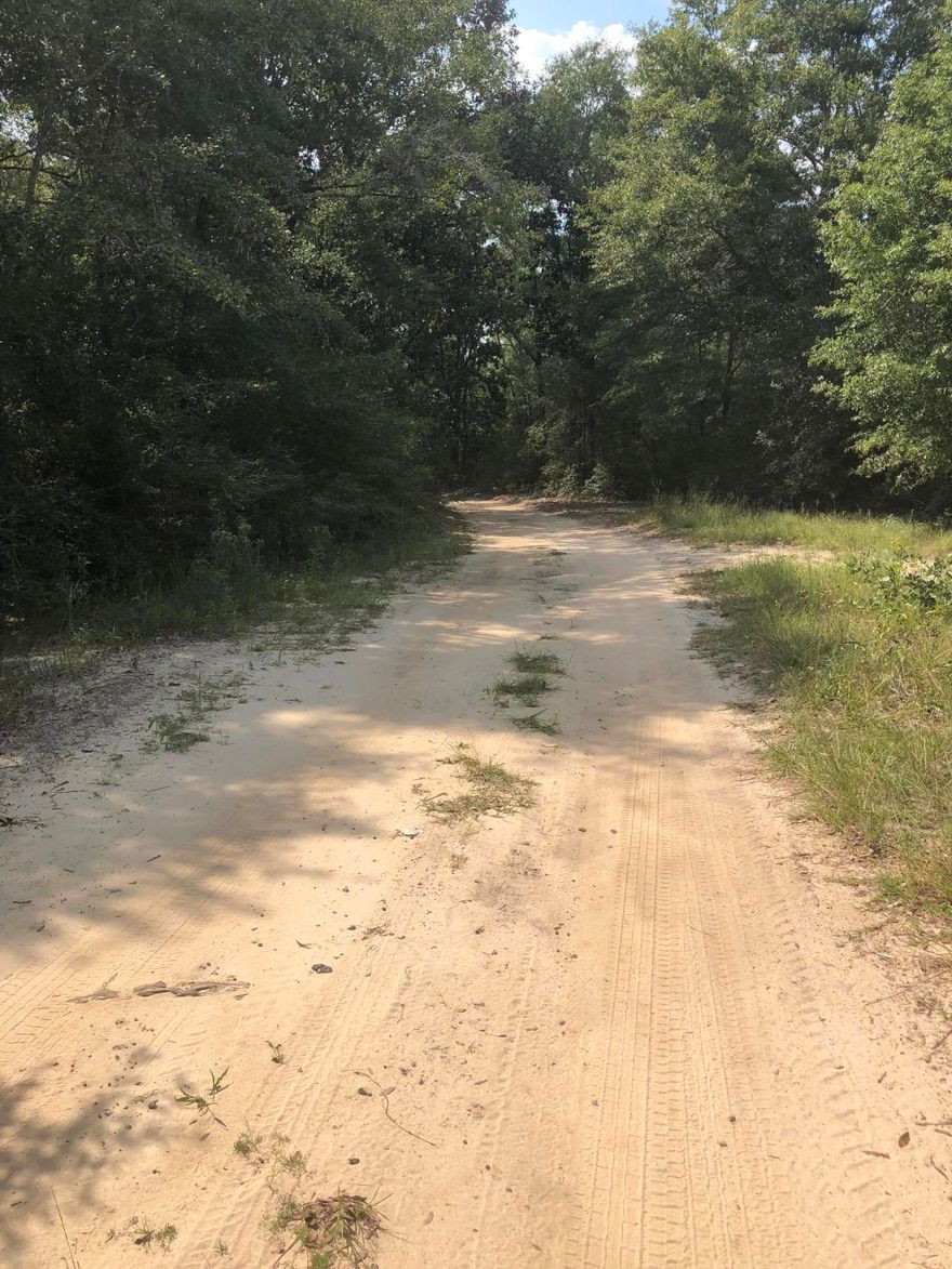 This property offers the perfect setting for a home, modular home, or a second ''get away'' cabin. It is nestled among beautiful trees off the highway in a tranquil area. The property has been cleared in the front and is ready for a home. The location is close to Baker and only 10 minutes from downtown Crestview. It is also only four miles Blackwater River- where the fish are biting. The property has access to electricity and water.