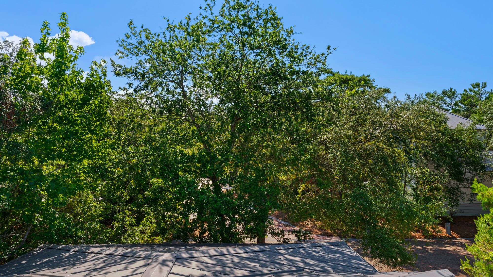 MAGNOLIA COTTAGES - Residential
