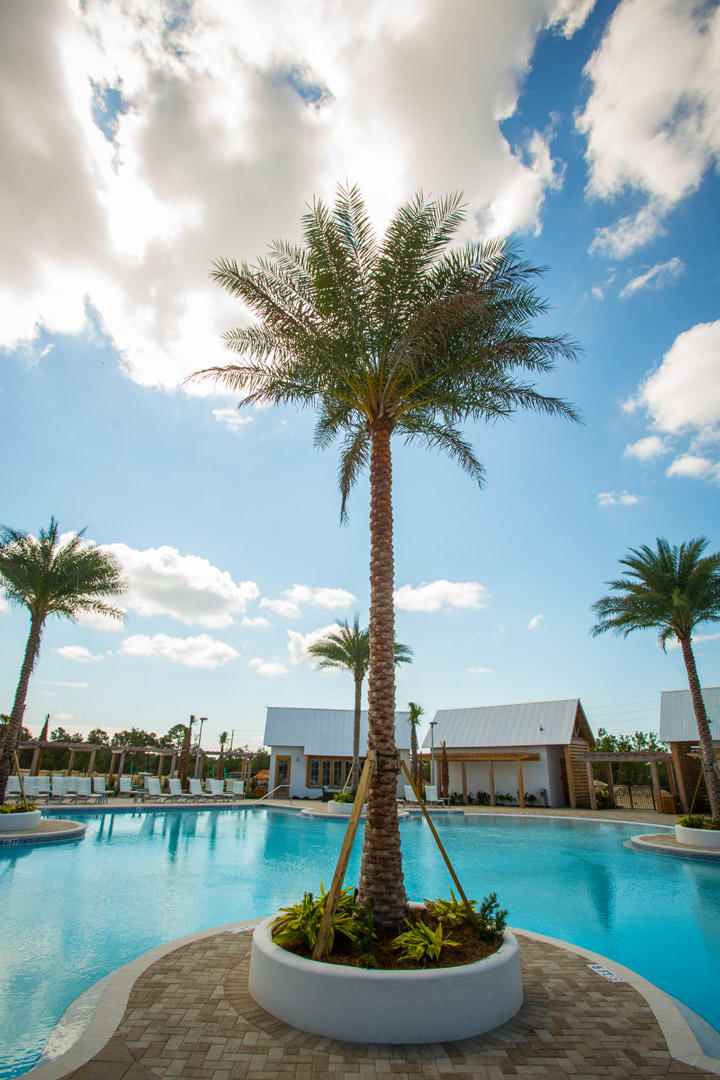 PROMINENCE - Residential