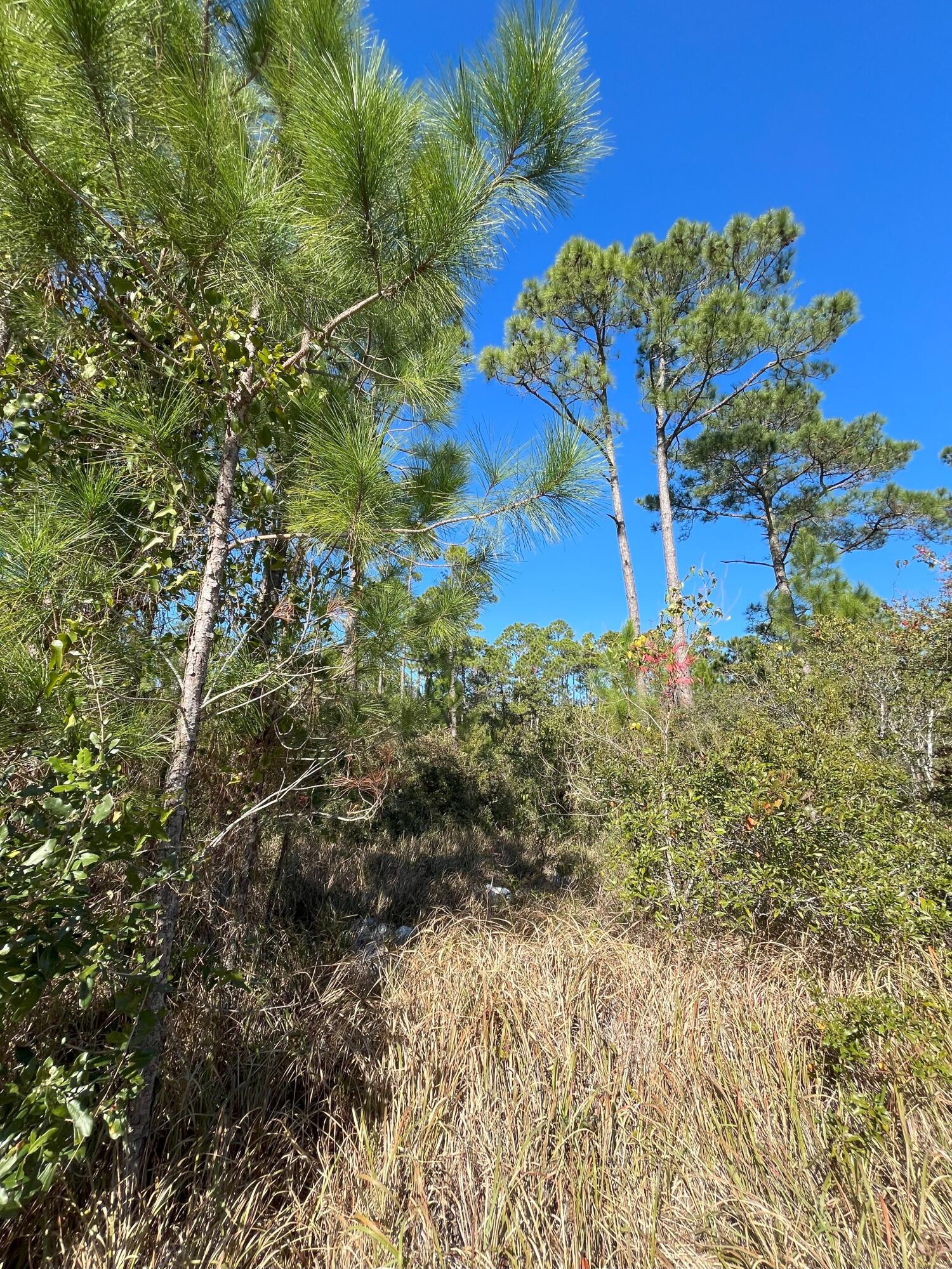 QUAYSIDE VILLAGE PH III - Land