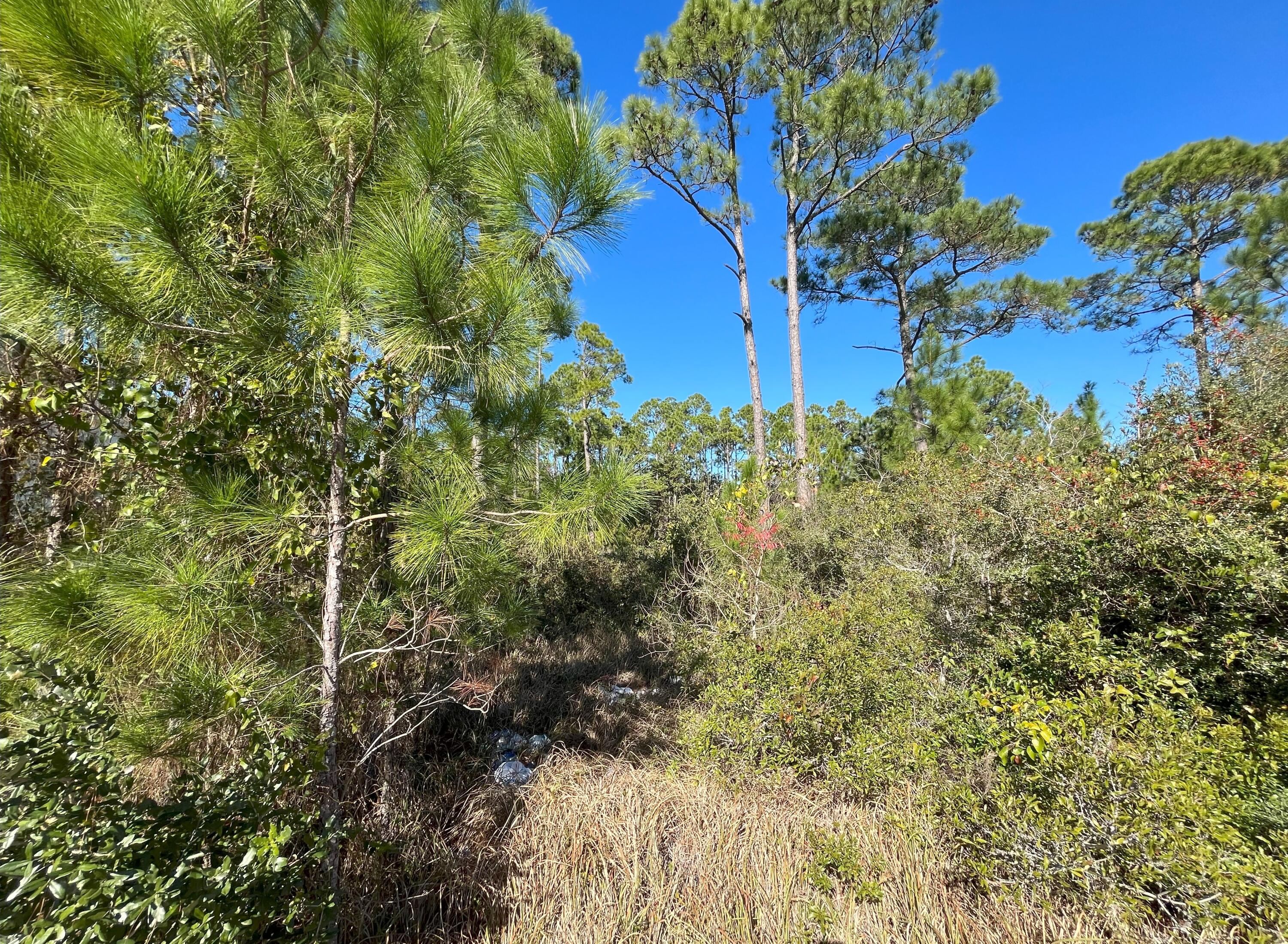 QUAYSIDE VILLAGE PH III - Land