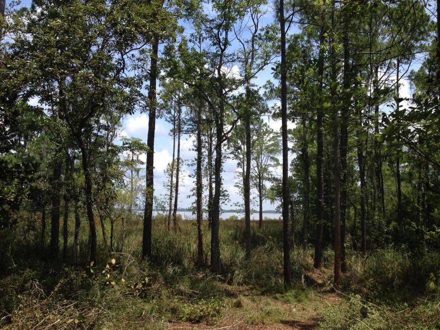 This serene & wooded waterview lot on Choctawhatchee Bay is .97 acres. An observation platform is in place so you can easily see the water view from your home when constructed.The WOODS is a carefully planned neighborhood with a community dock, community park with park benches, picnic tables and nature trails. It is minutes from the beaches, dining and entertainment.There is no build out period and the architectural guidelines and covenants can easily be emailed . ***Water and sewer tap fees are paid*** . 7/10 nautical miles to 1st buoy of the intercoastal waterway . Plans must be approved by the review board