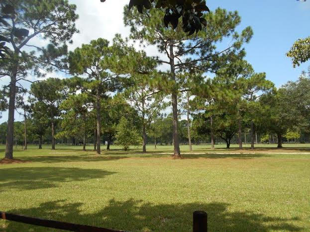 COUNTRY CLUB ESTATES - Residential