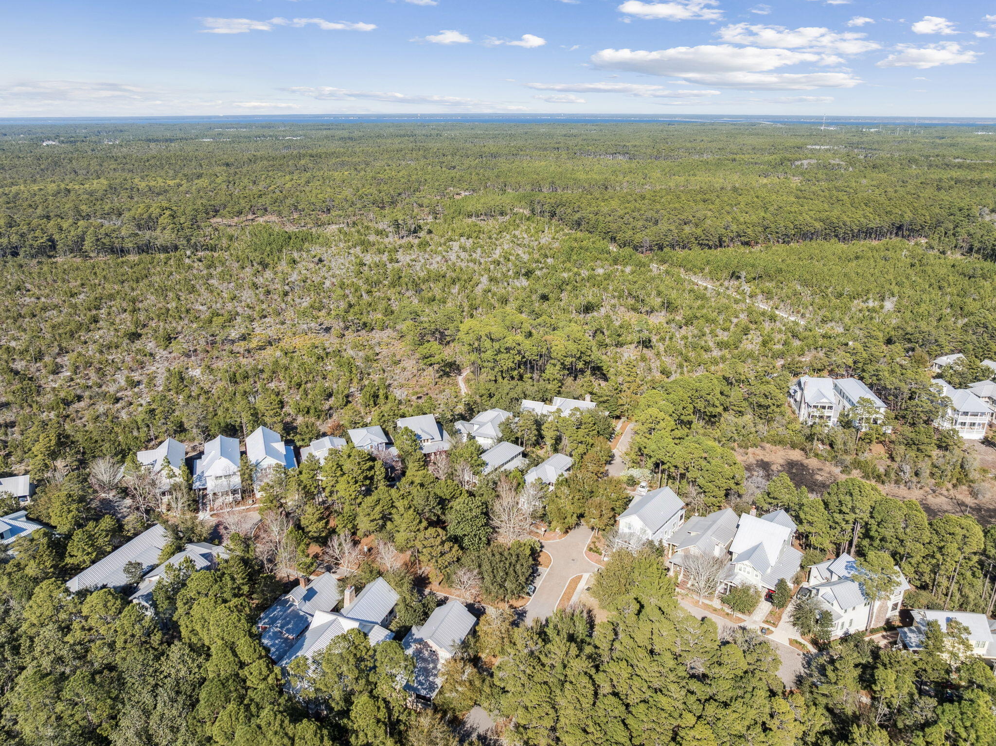 FOREST LAKES - Residential