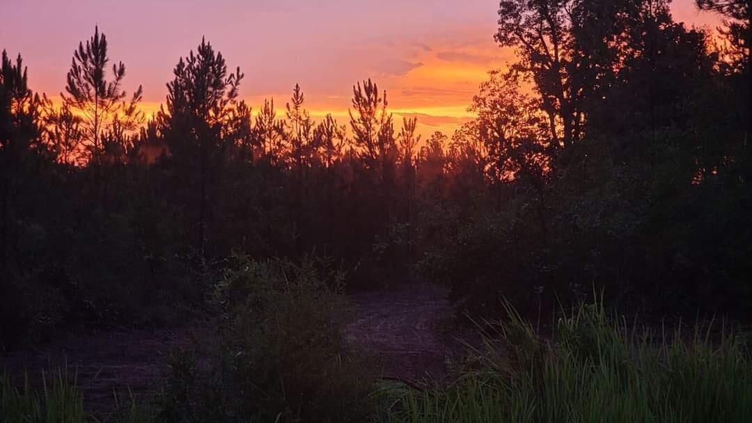 Parcel 8 - Long Rd - Land