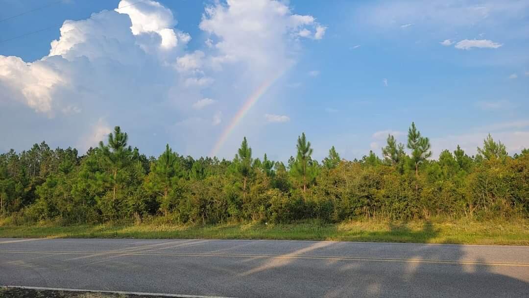 Parcel 8 - Long Rd - Land