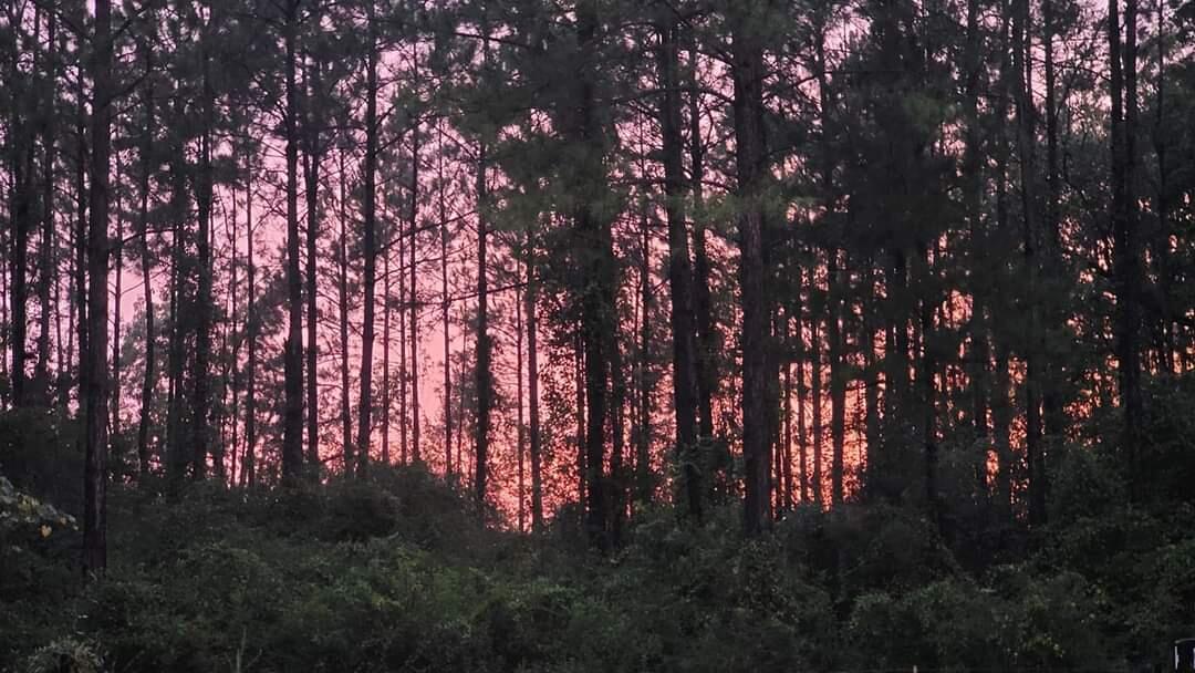 Parcel 8 - Long Rd - Land