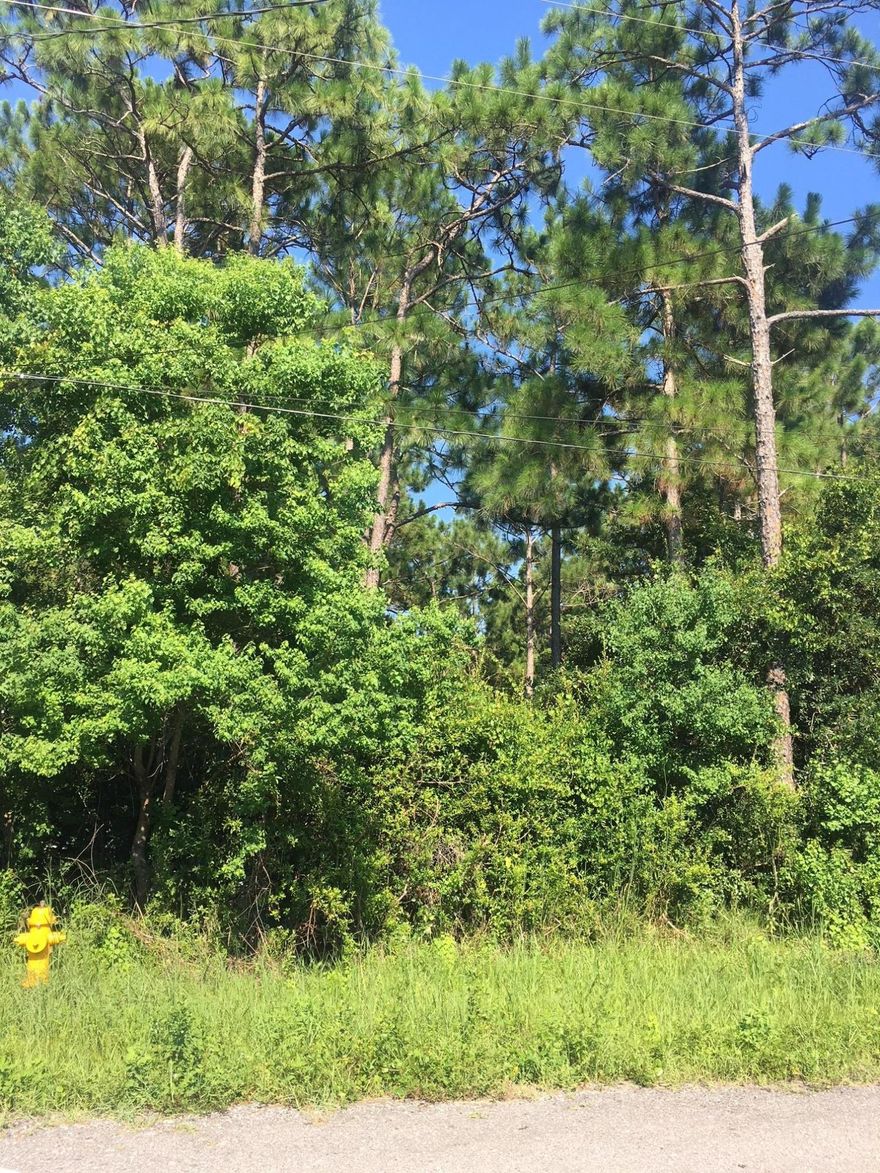 Nice wooded lot ready for a new home! Great location that is convenient to beaches, the bay, shopping schools and is within walking distance of Cessna Landing Park & Boat Ramp. No HOA. Lot 17 is available for sale as well.
