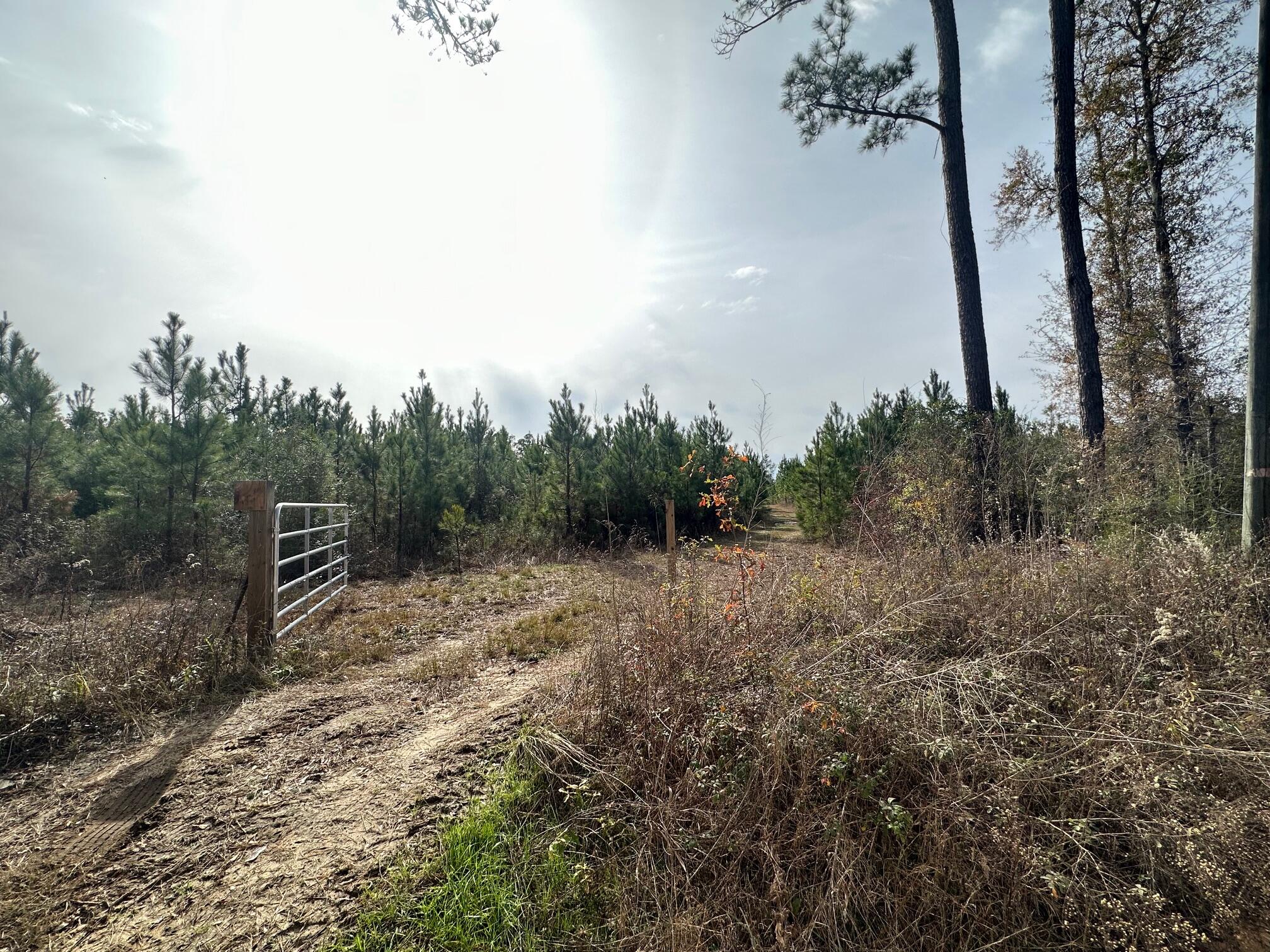 Dream Location for Hunters Paradise either way you won't want to miss this opportunity! This Beautiful 44 +/- Acres of prime land has so much to offer. Bring your hunting gear, Horses, and ATVS LOCATION LOCATION!!!! This Property has Easy Access to Hwy 2, Hwy 90 and I-10