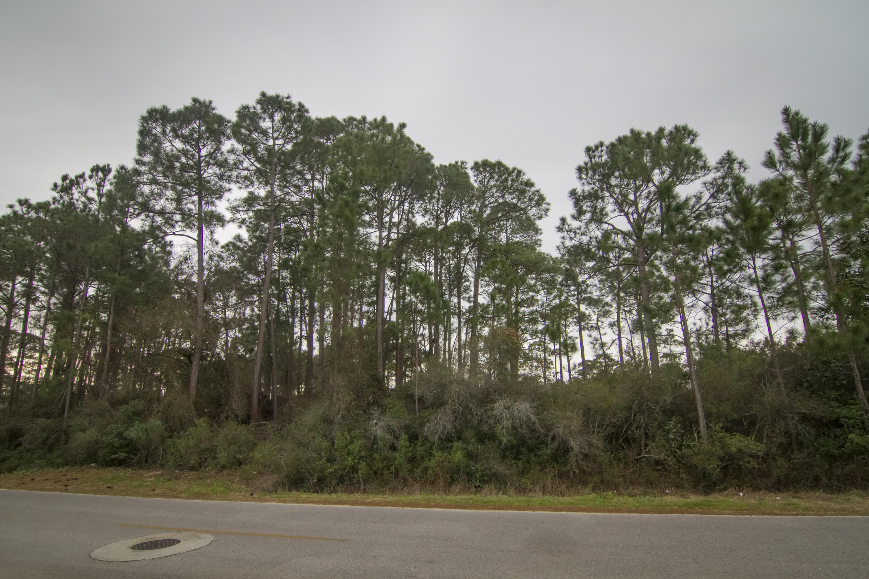 HOLIDAY SHORES ESTATES - Land