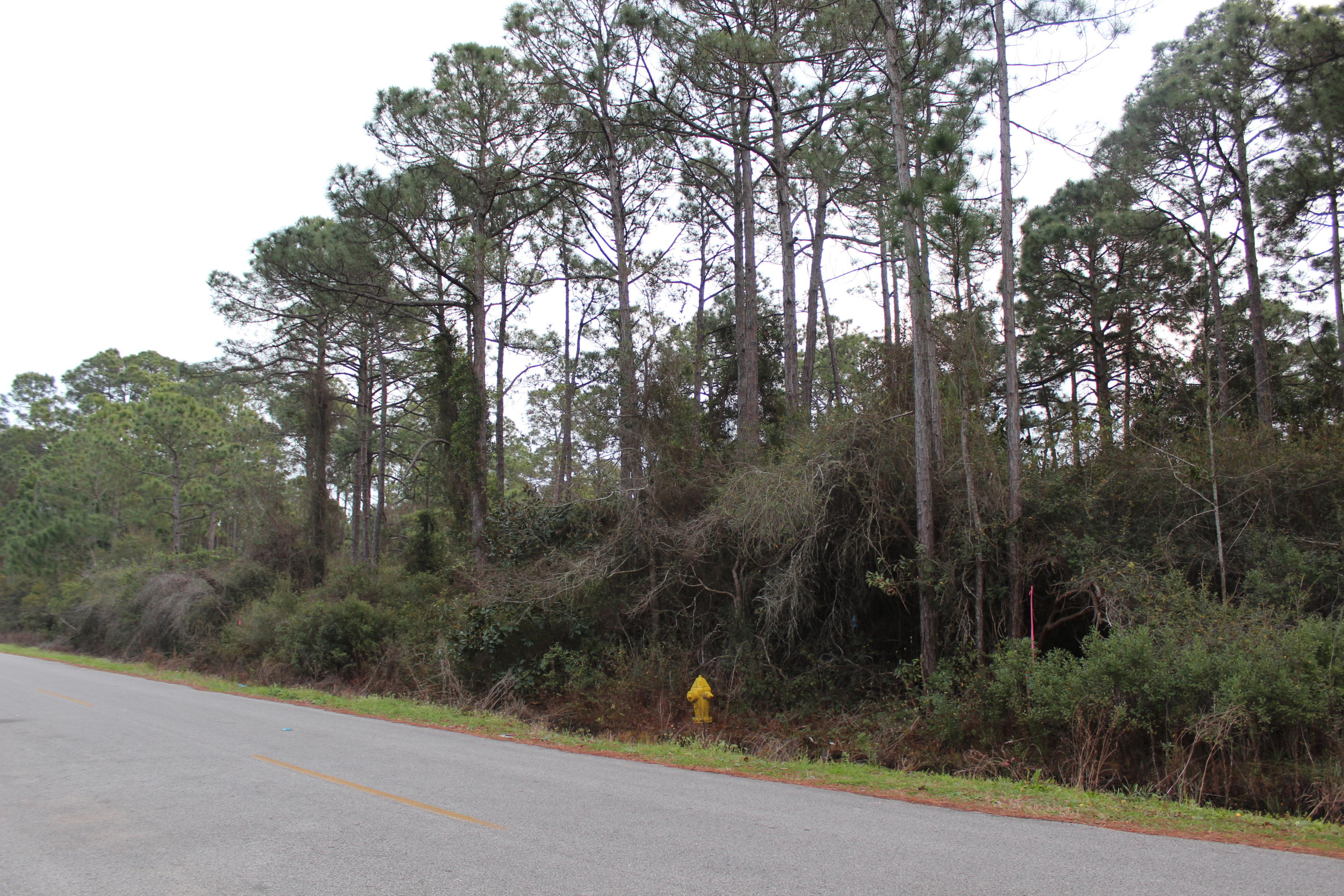 HOLIDAY SHORES ESTATES - Land