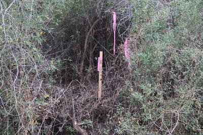 HOLIDAY SHORES ESTATES - Land