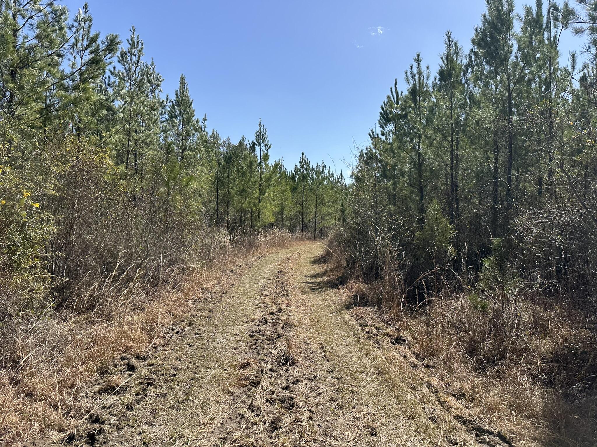 N/A - Farm
