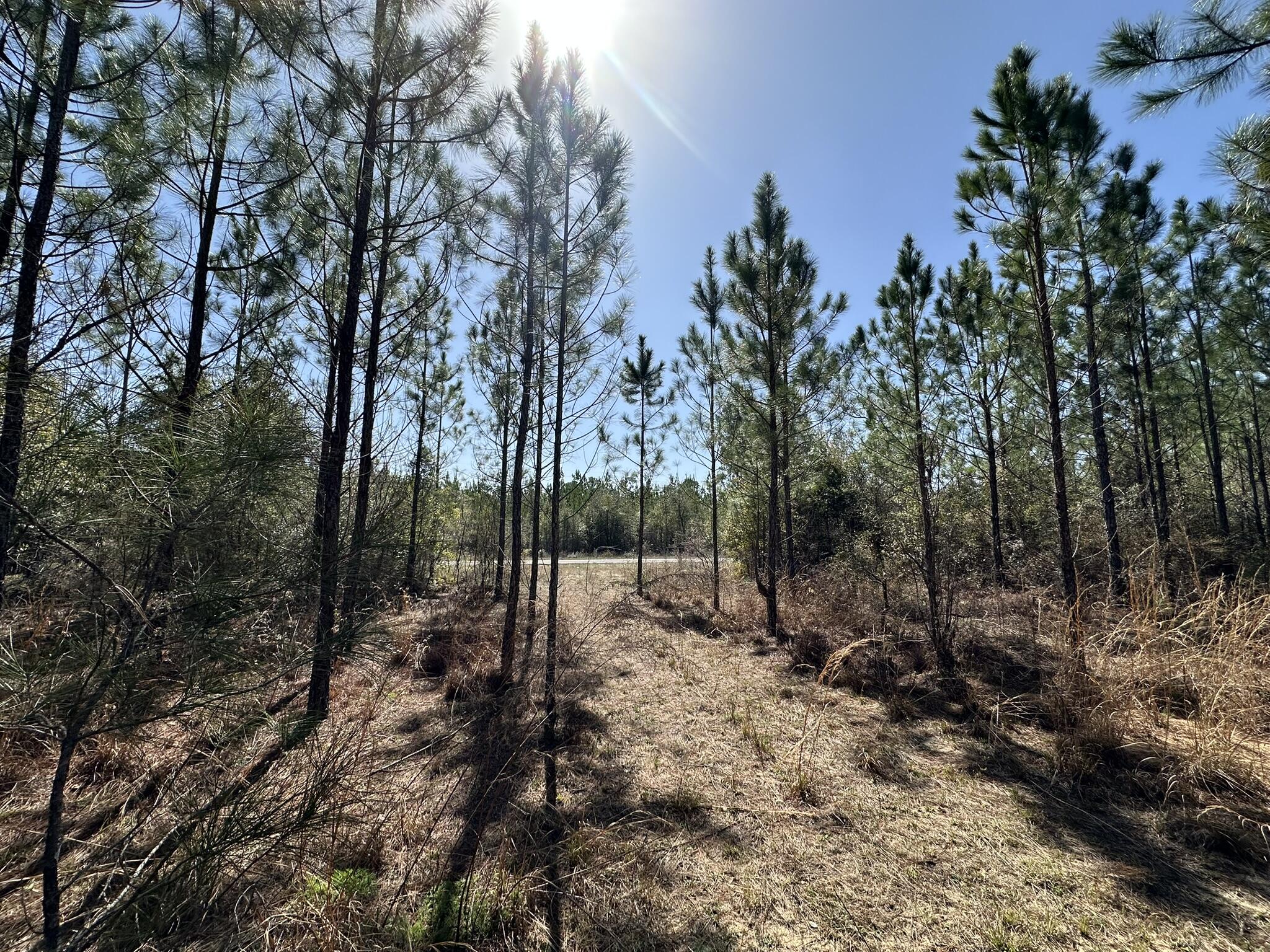 Embrace the tranquility of rural living on this manageable and versatile acreage. This property provides ample space for personal enjoyment and offers a unique opportunity to create your own private escape, surrounded by the natural beauty of North Florida. This parcel offers opportunities for recreational activities and the chance to enjoy the peace and quiet of a rural setting. No Wetland Studies or soil samples have been done on this property.