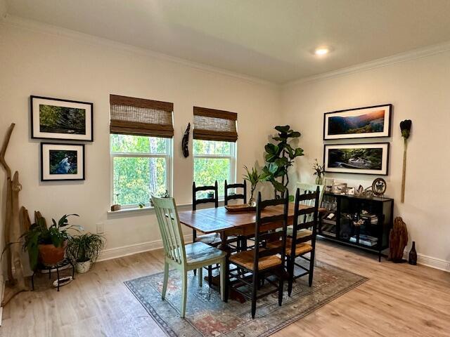 Treasure Trove - Residential