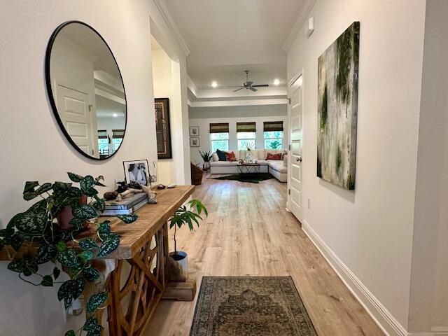 Treasure Trove - Residential