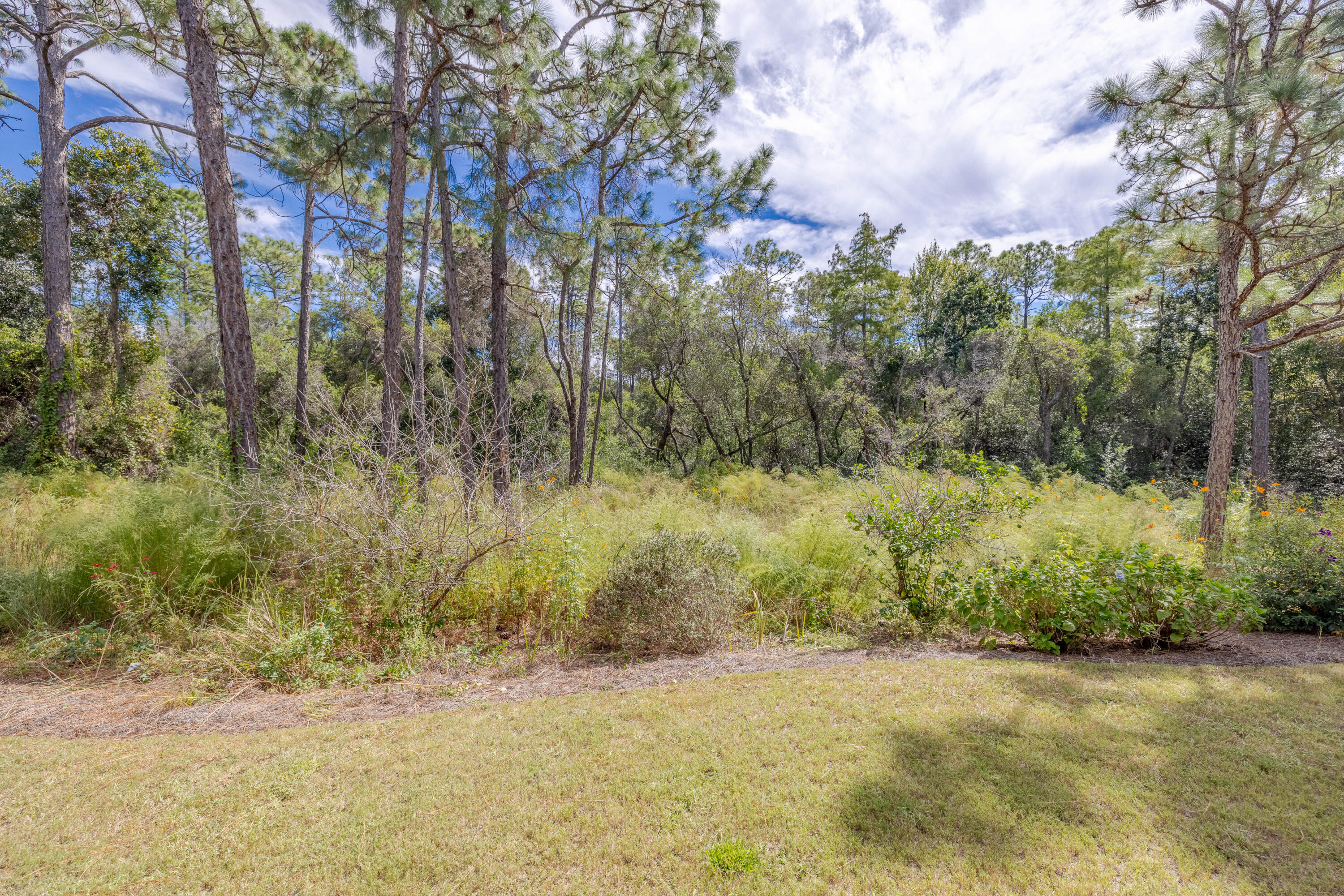 WILD HERON - THE COURTS - Residential