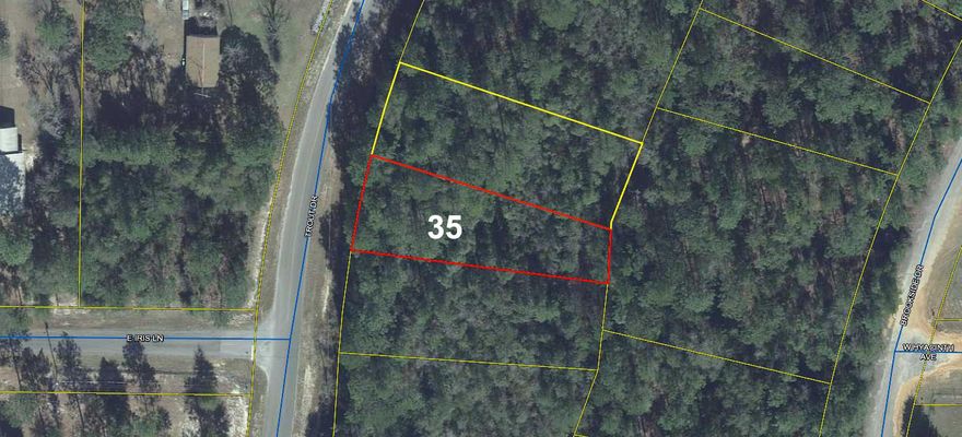 Wooded lot on a paved road in the fast growing Mossy Head area, approximately 10 minutes from historic downtown DeFuniak Springs, voted the Best Small Town in Florida by MainStreet USA.