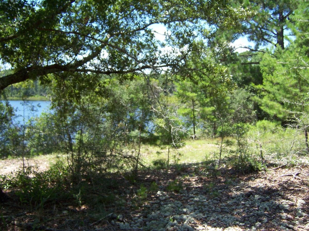 MAGNOLIA LAKE ESTATES PH 1 - Land