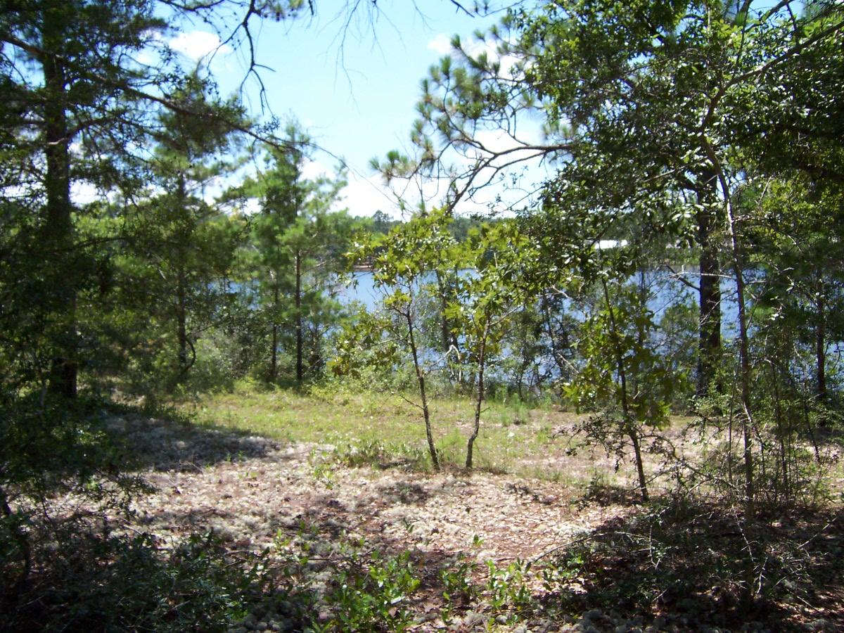 MAGNOLIA LAKE ESTATES PH 1 - Land