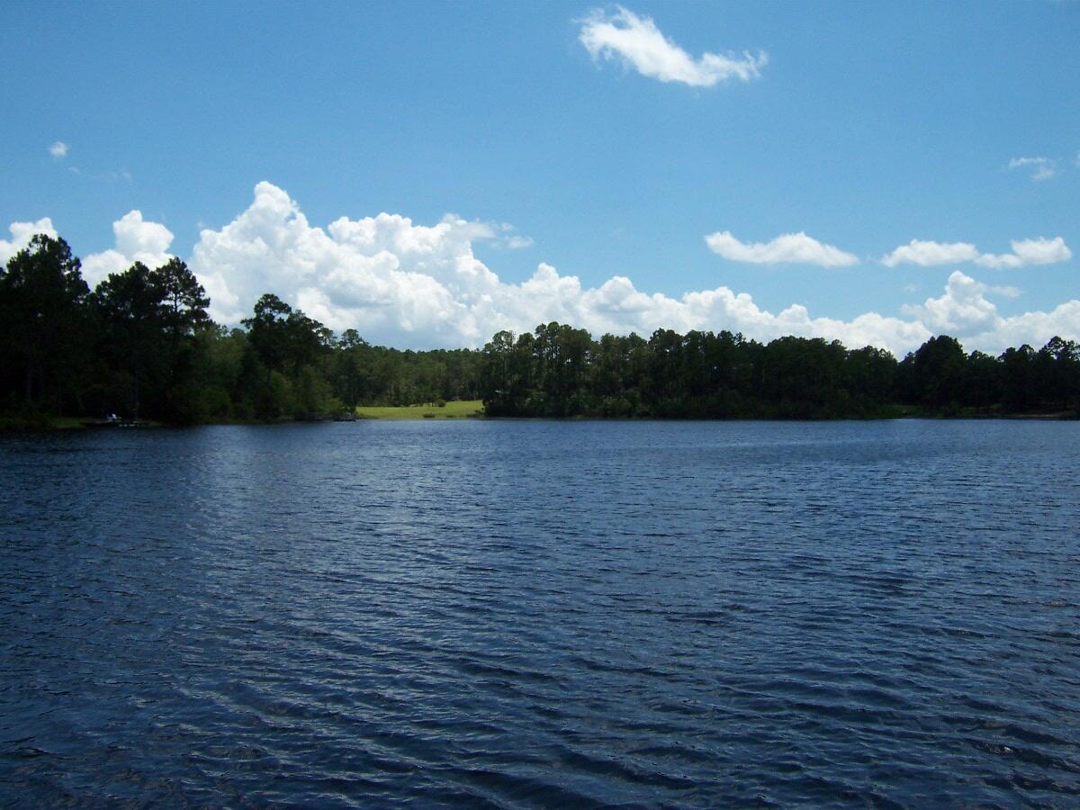 MAGNOLIA LAKE ESTATES PH 1 - Land