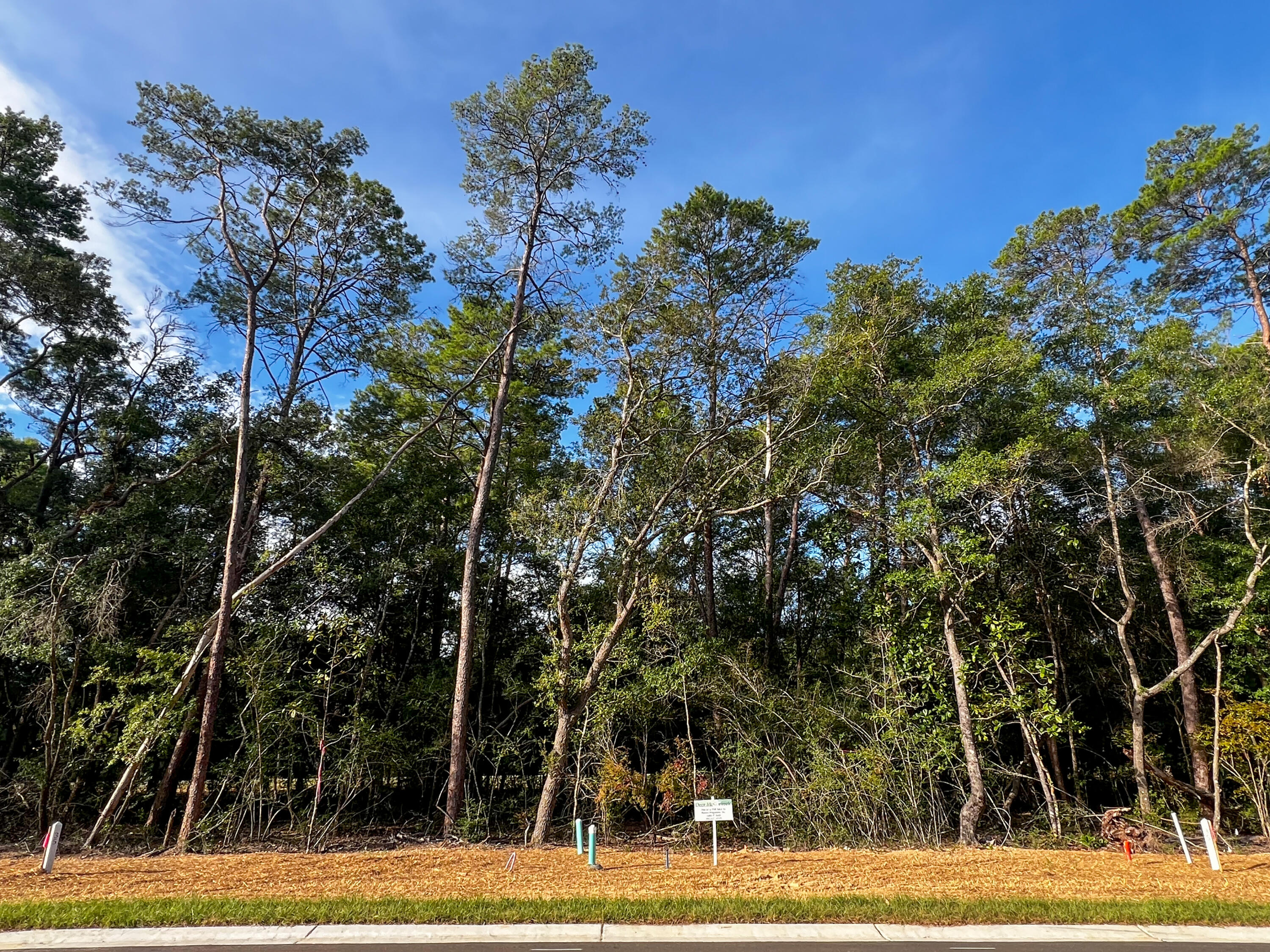 Deer Moss Creek - Land