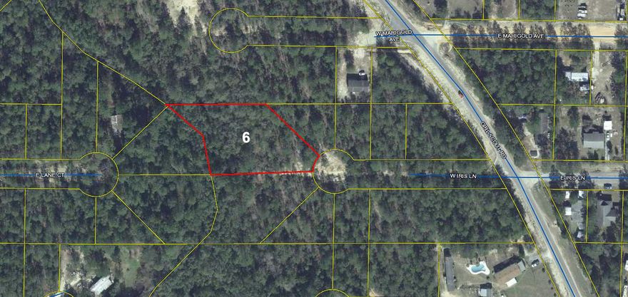 Wooded lot with limited access in the fast growing Mossy Head area, approximately 10 minutes from historic downtown DeFuniak Springs, voted the Best Small Town in Florida by MainStreet USA.
