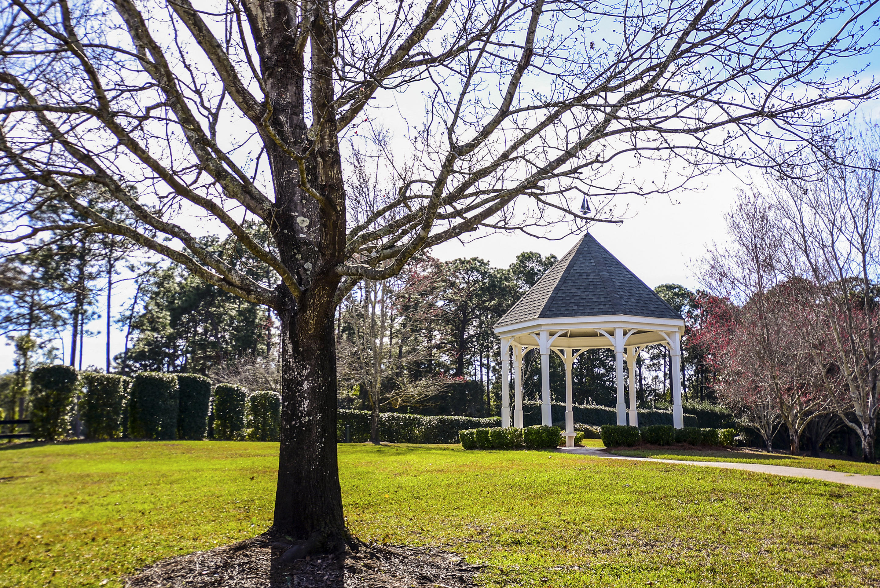 TURNBERRY PLACE - Residential