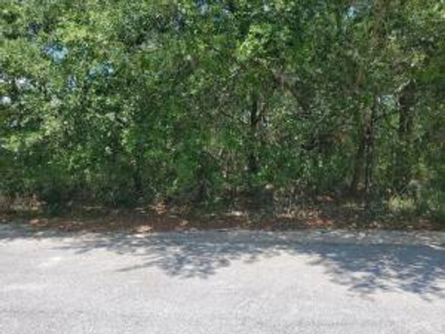 Fantastic lot with deeded beach access. Easily bike to Alys Beach, Rosemary Beach. Very few large lots left on east end of 30A. Short term rentals allowed.  Whites Gulfview Estates' owners have golf cart parking availability at their  beach access.