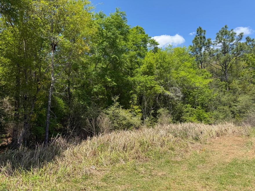 This 2.1-acre parcel on quiet Picasso Lane offers a flexible opportunity for those looking to build, invest, or hold land in a steadily growing part of DeFuniak Springs. With room for a homesite, workshop, or recreational use, the property suits a range of residential goals--whether for a homestead or future development. Located minutes from I-10, schools, parks, and local conveniences, it provides space with accessibility. Claim your piece of the American dream today!