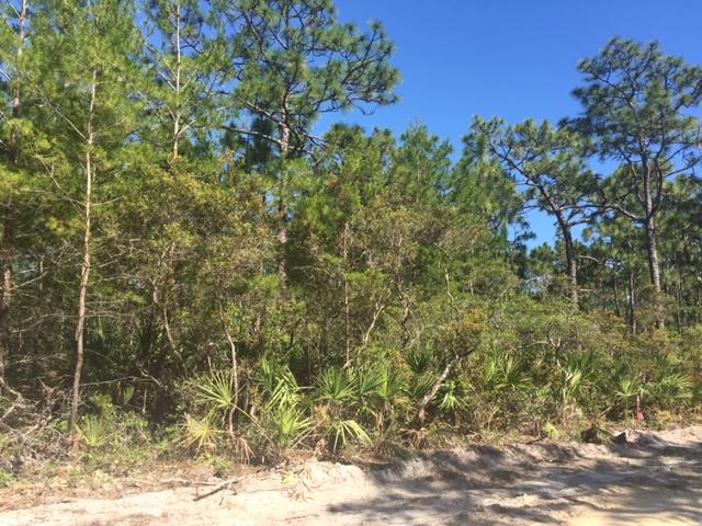Barcelona Avenue has recently been CLEARED/cut through & UNDERGROUND ELECTRIC has been run!! High & Dry lot on private section of Barcelona Ave, located in Gulf Shore Manor- Seagrove Beach. Wooded lot has 20 ft buffer from neighborhood to the west. Location is very close to bike path, and just a mile east of Seaside. A deeded beach access is on the south side of 30A at San Juan Avenue. There is NO HOA fees, or build-out times. ***Buyer is responsible for personally verifying details about this property. All information contained on the listing is believed to be accurate but not guaranteed. ***