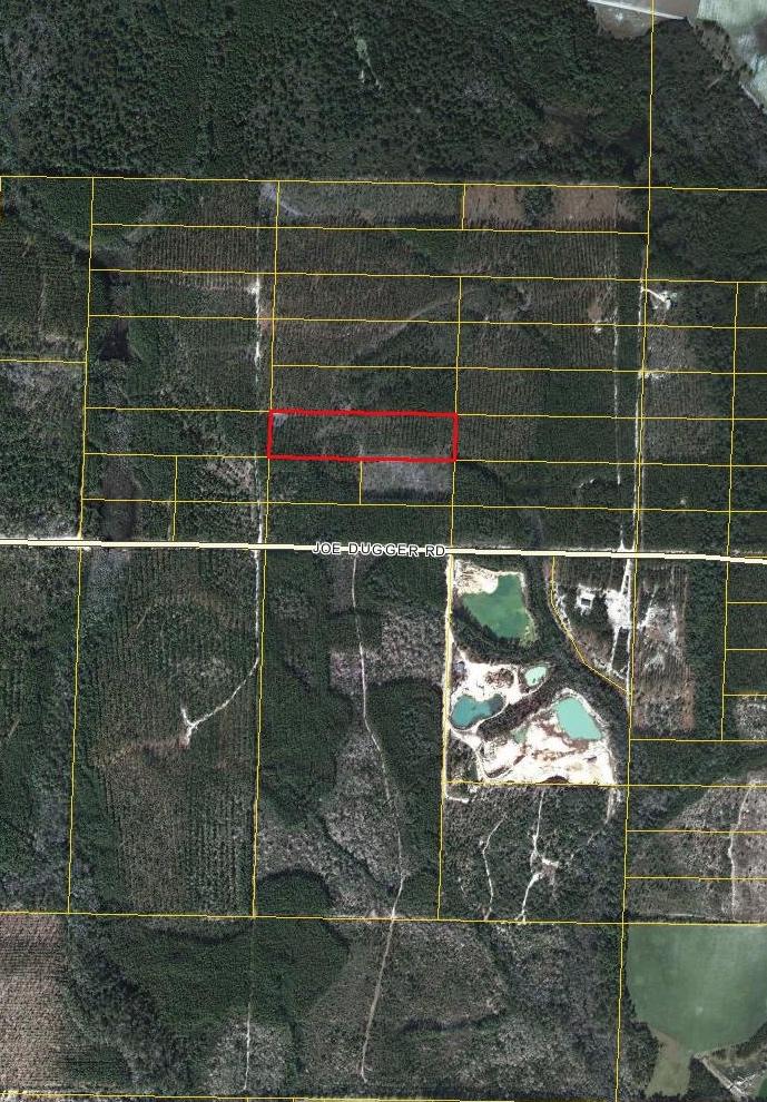 10 acre tract in up and coming Freeport. Four lane will be completed soon on Hwy 331 and Publix is open. Within a 30 (+) minute drive to the beaches of South Walton. Sellers are motivated to sell. Listing price was just reduced over $30,000